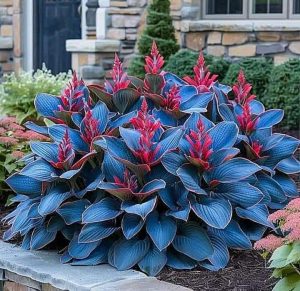 Хоста Грин Фог купить по цене от 669р. в интернет-магазине «Посадика» с доставкой почтой в в Козловкае и по всей России – [изображение №1].