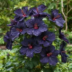 Гибискус Мэджик Момент купить по цене от 699р. в интернет-магазине «Посадика» с доставкой почтой в в Козловкае и по всей России – [изображение №1].